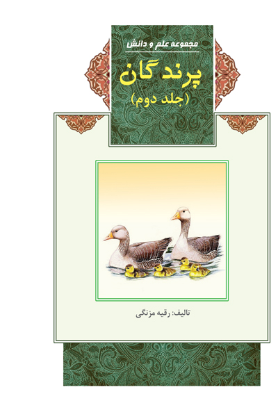 پرندگان (جلد دوم)
